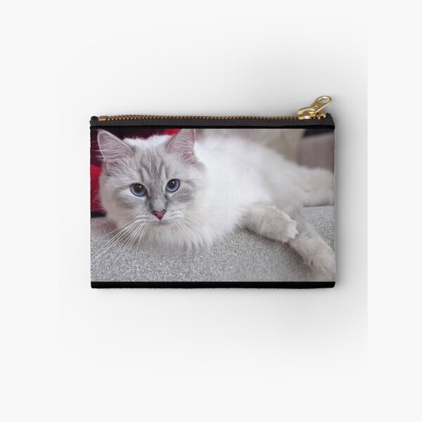 Item preview, Ragdoll kitten designed and sold by Fluffycat2020.
