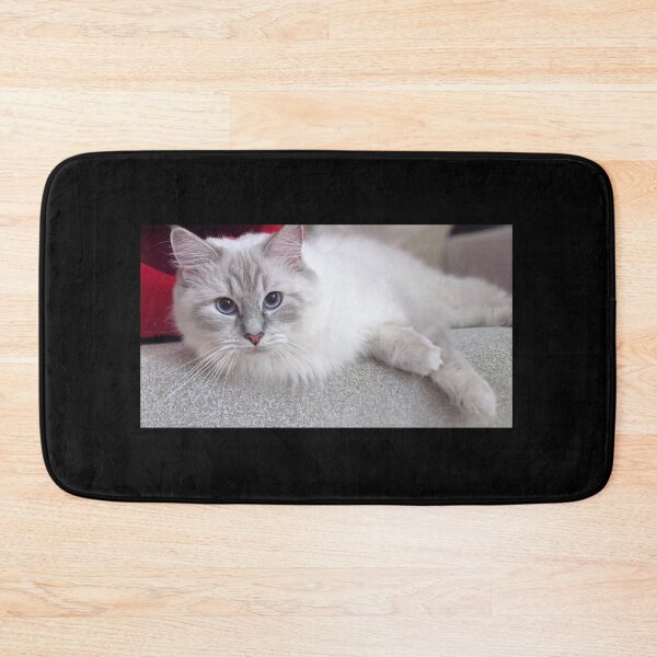 Item preview, Ragdoll kitten designed and sold by Fluffycat2020.