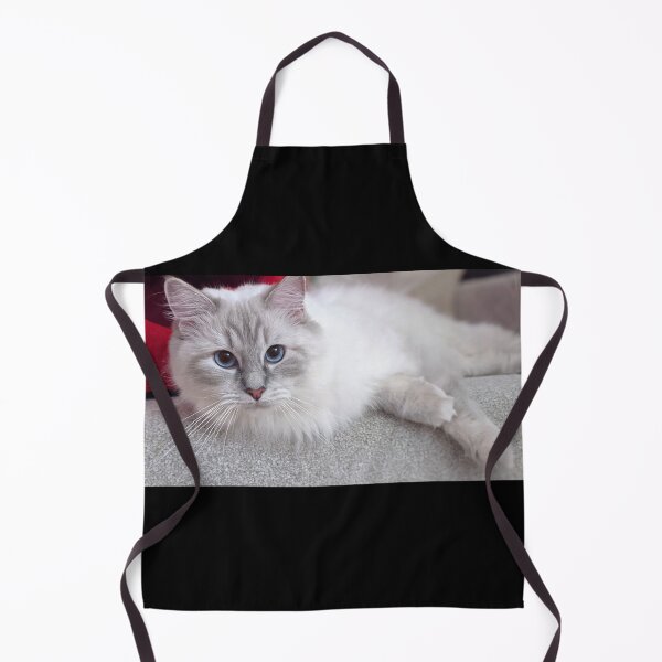 Item preview, Ragdoll kitten designed and sold by Fluffycat2020.