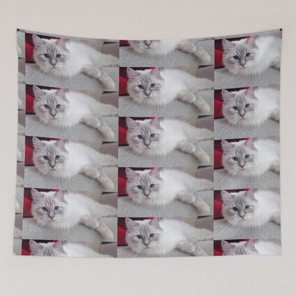 Item preview, Ragdoll kitten designed and sold by Fluffycat2020.