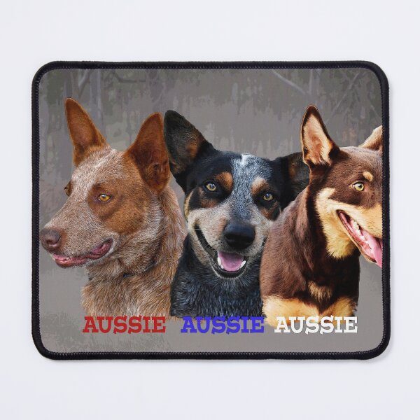 Item preview, BLUE and RED HEELERS, CATTLE DOGS designed and sold by Barbara Jean Photo Art And Design.
