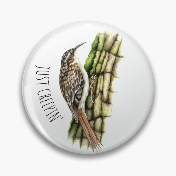 Item preview, Brown Creeper - Just Creepin' designed and sold by AntlerAndOak.