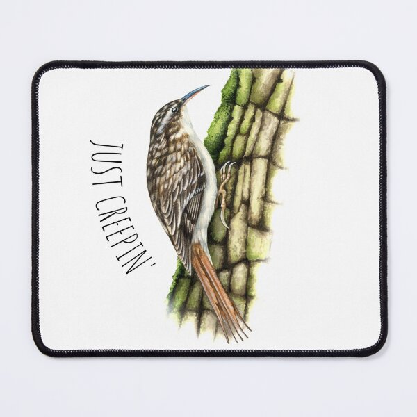 Item preview, Brown Creeper - Just Creepin' designed and sold by AntlerAndOak.