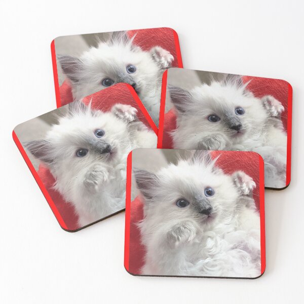 Item preview, Ragdoll kitten designed and sold by Fluffycat2020.