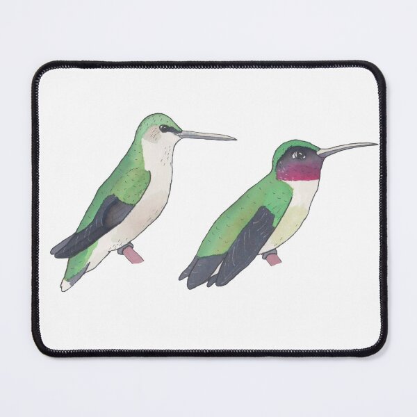 Item preview, Ruby-throated Hummingbird bird species wildlife art designed and sold by TheWaterBirds.