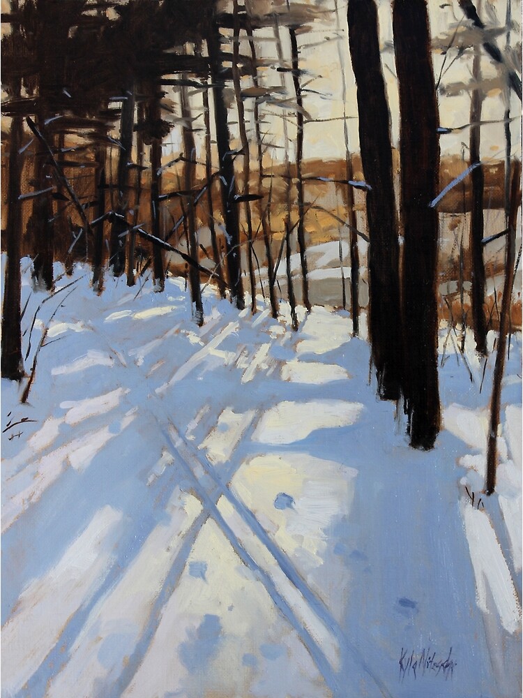 Skiing Beaver Pond Trail by knitzsche