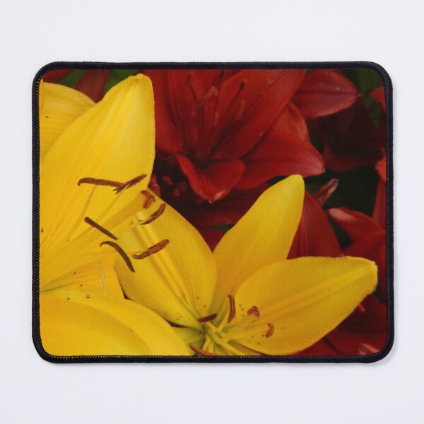 Item preview, "A Gathering of Lilies" - 2 [D4466~24] designed and sold by StudioActivo.