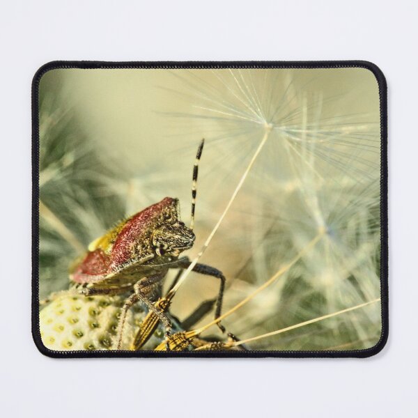 Item preview, The happy bug designed and sold by BBPGallery.
