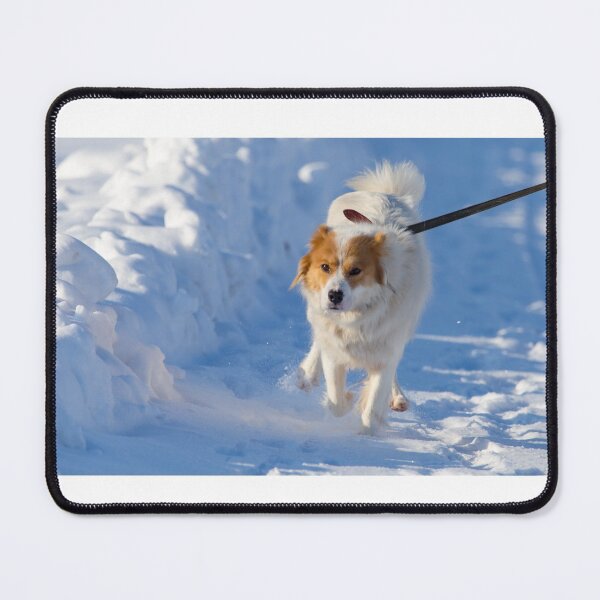 Item preview, dog walk in the snow dogs lover dog snow cute dog designed and sold by Tshirtk.