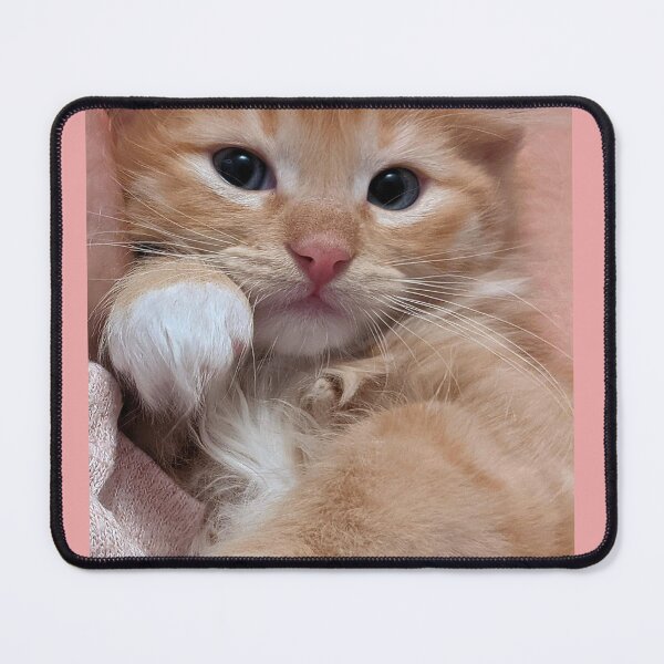 Item preview, Ginger kitty designed and sold by Fluffycat2020.