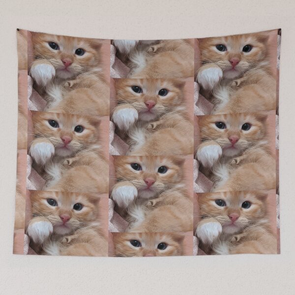 Item preview, Ginger kitty designed and sold by Fluffycat2020.