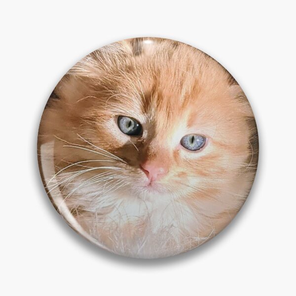 Item preview, Ginger kitty designed and sold by Fluffycat2020.