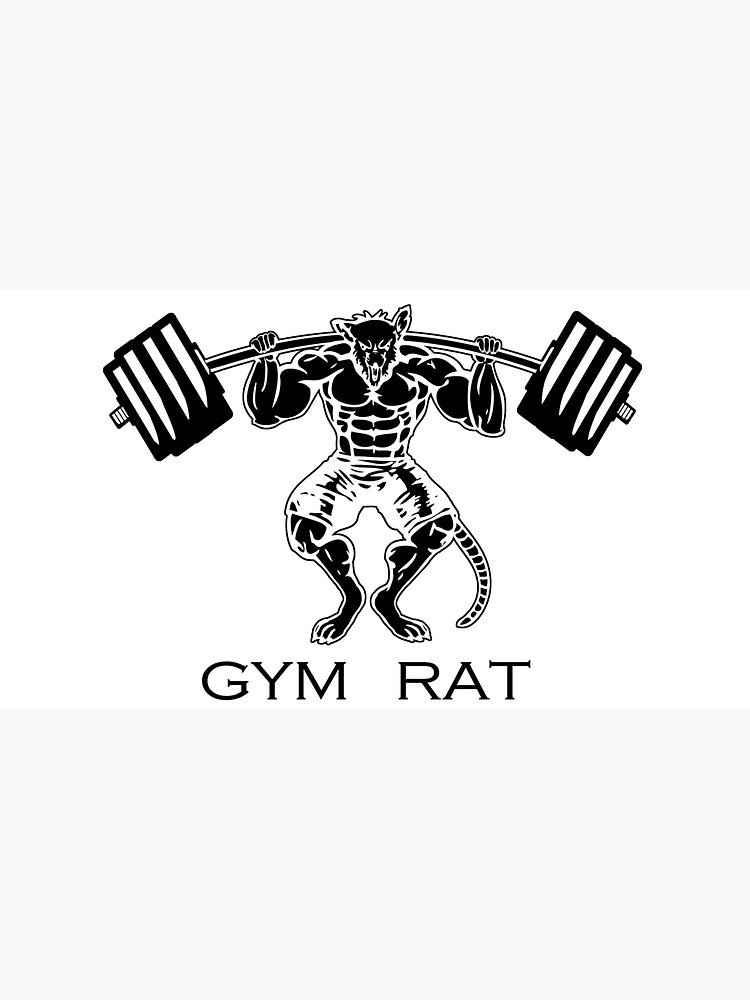 GYM RAT - Traducción En Español