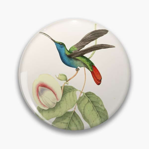 Item preview, Hummingbird Vintage Illustrations  designed and sold by mckennajoy2001.