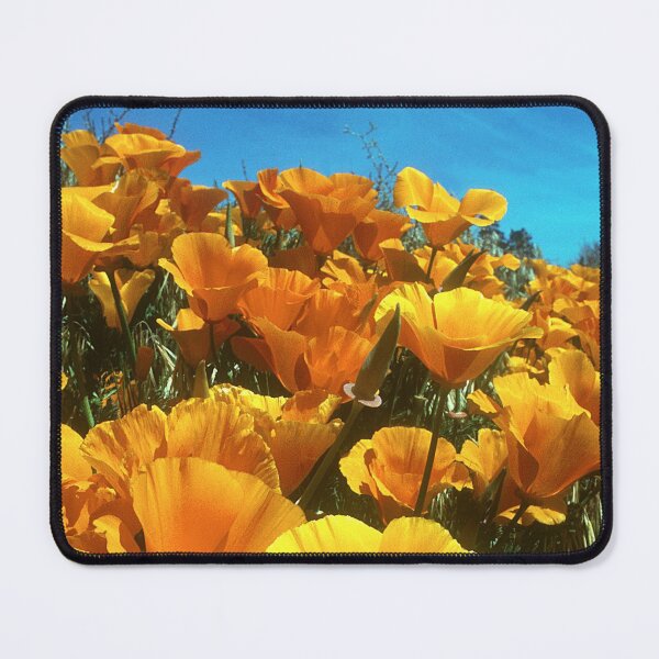Item preview, Orange Poppy Flowers In Field Art Photo designed and sold by DEC02.