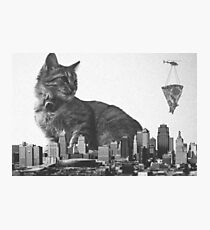 Cat-zilla Pizza Decoy Photographic Print