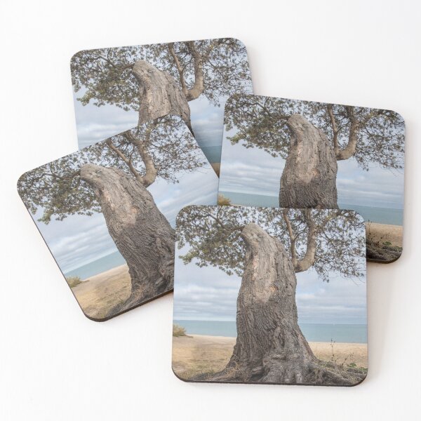 Item preview, Dromana Beach, Dromana, Mornington Peninsula, Victoria, Australia designed and sold by Vicki Walsh.