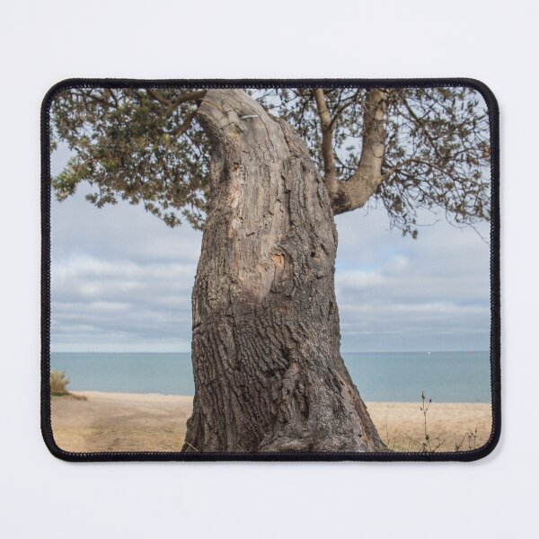 Item preview, Dromana Beach, Dromana, Mornington Peninsula, Victoria, Australia designed and sold by Vicki Walsh.