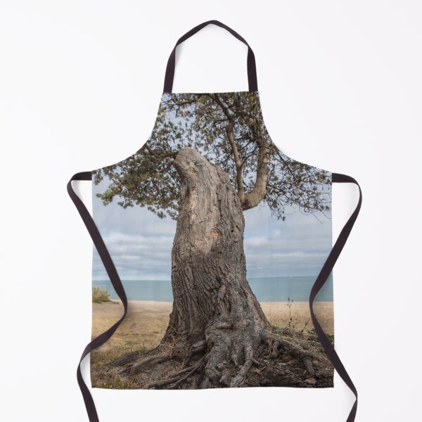 Item preview, Dromana Beach, Dromana, Mornington Peninsula, Victoria, Australia designed and sold by Vicki Walsh.