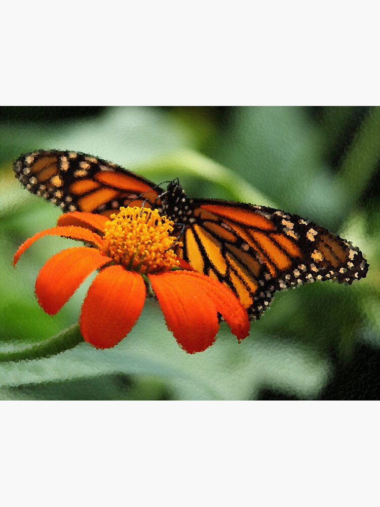 Thumbnail 3 of 3, Sticker, Monarch Butterfly and Flower designed and sold by MathenaArt.