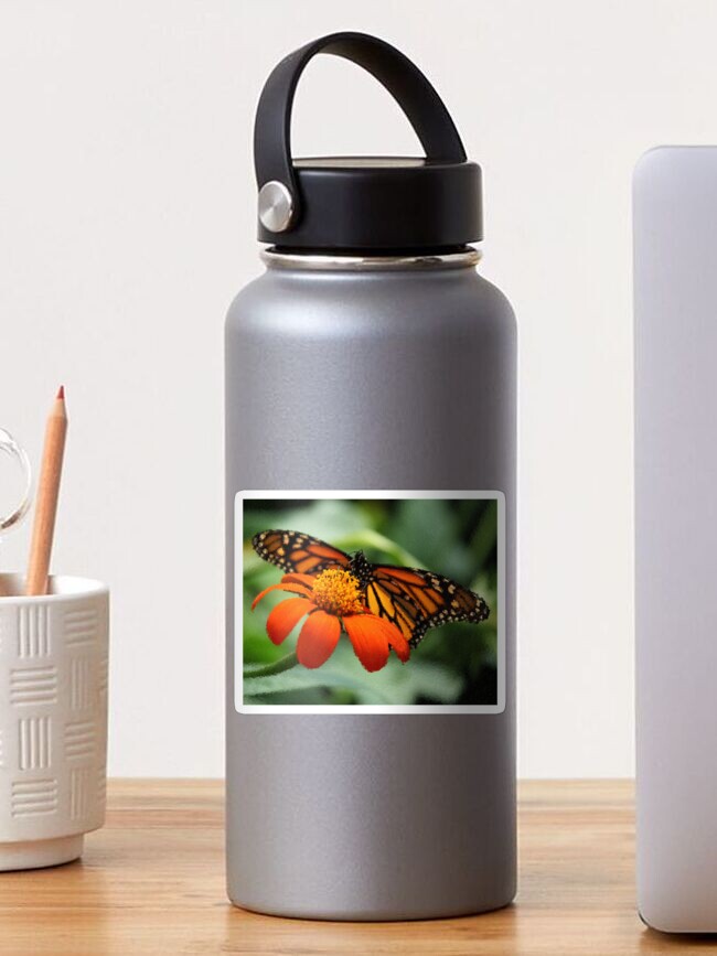 Thumbnail 1 of 3, Sticker, Monarch Butterfly and Flower designed and sold by MathenaArt.