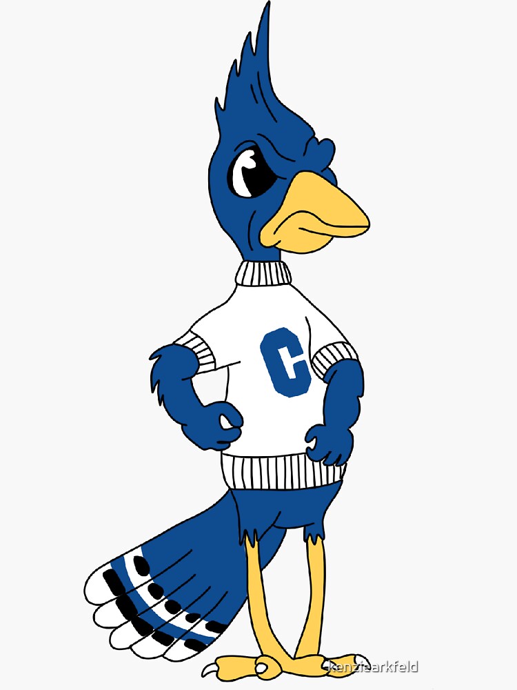 Premium Vector  Blue jay baseball cartoon mascot