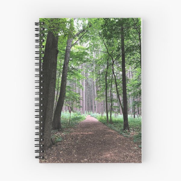 Artikelvorschau, Ein Spaziergang im Wald entworfen und verkauft von TaiChiTiger3.