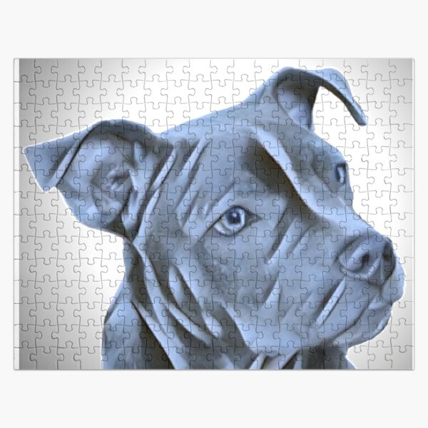 Blue Gray Pitbull Jigsaw Puzzle