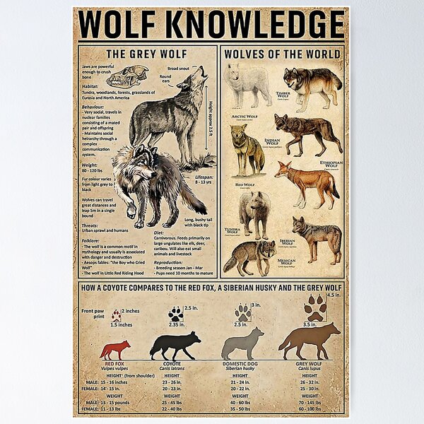 Item preview, Country Girl Wolf Knowledge designed and sold by SimonsonNuala.
