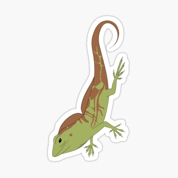 Large Headed Anole Sticker