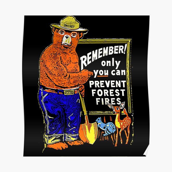 "Smokey Bear " Poster for Sale by Vubewo044 Redbubble