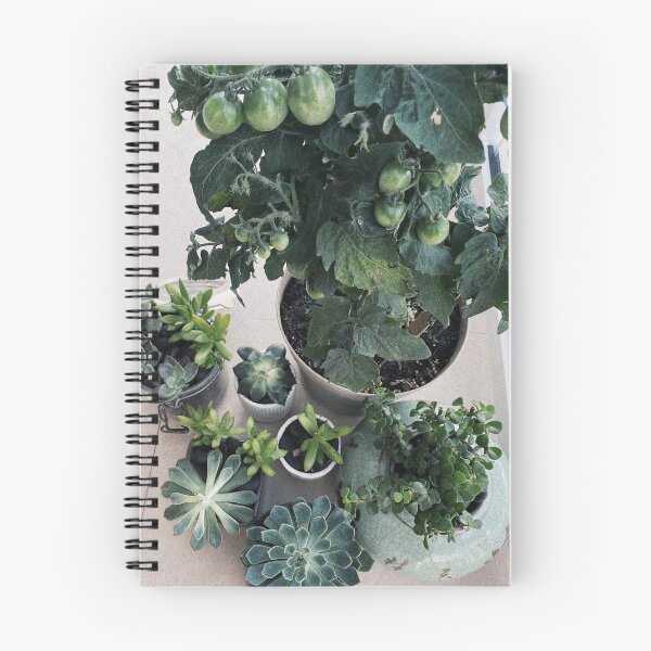 Item preview, Plant mom starter pack  designed and sold by omittleman.