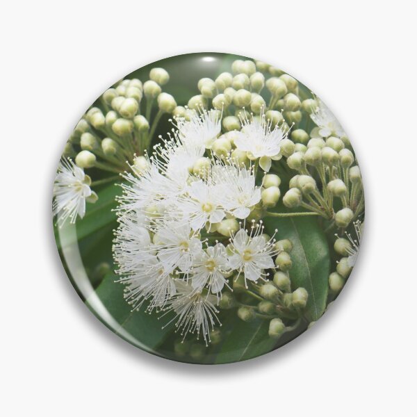 Item preview, Lemon Myrtle Blossoms designed and sold by Cloudlingpics.