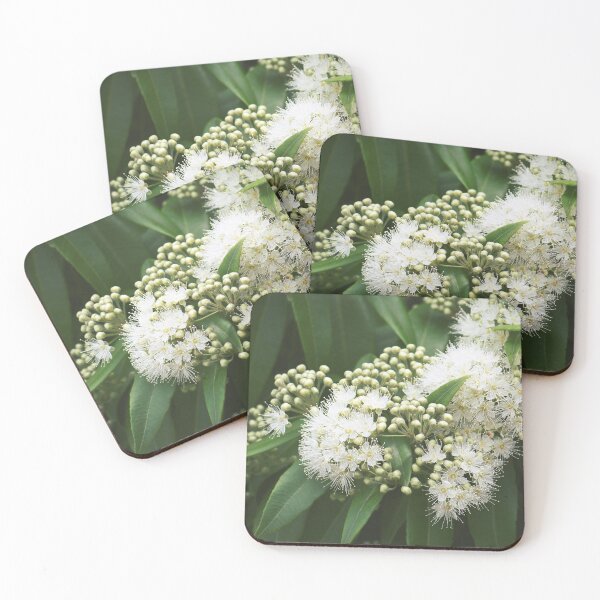 Item preview, Lemon Myrtle Blossoms designed and sold by Cloudlingpics.