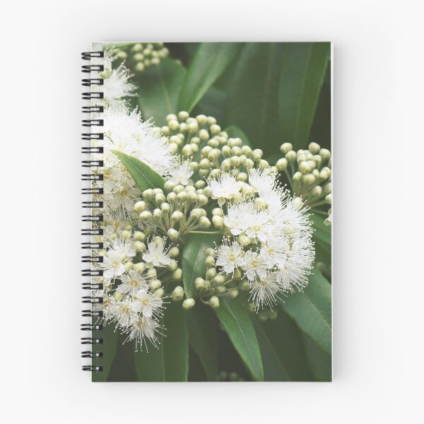 Item preview, Lemon Myrtle Blossoms designed and sold by Cloudlingpics.