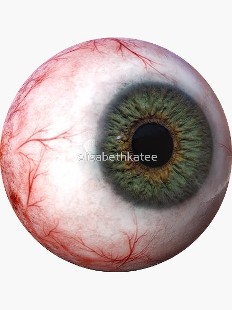 realistic looking eyeball stickers