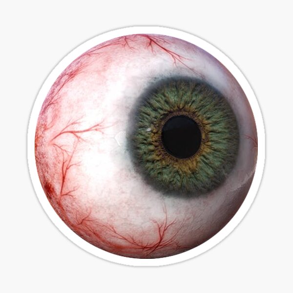 Eyeball Stickers Scary Bloody Female Eyes Decals Die Cut Full Set Teeth  2Eyes
