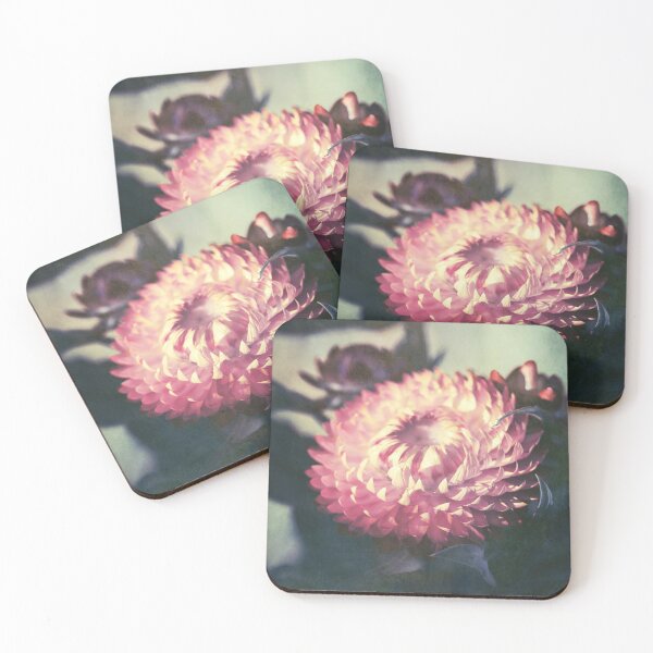 Item preview, Vintage Everlasting Daisy designed and sold by Cloudlingpics.