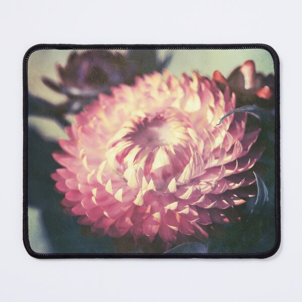 Item preview, Vintage Everlasting Daisy designed and sold by Cloudlingpics.