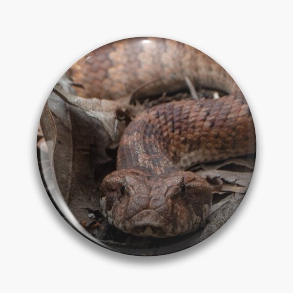 Item preview, Common Death Adder designed and sold by Adam Brice.