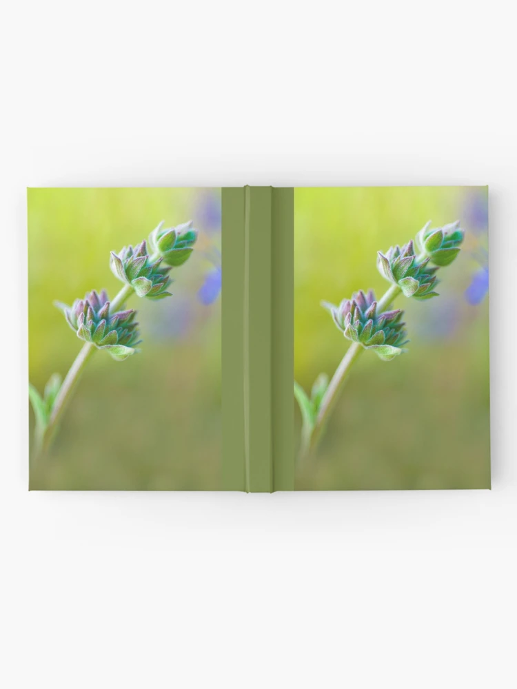 Thumbnail 2 of 3, Journal, Spring Sage designed and sold by Colleen Farrell.