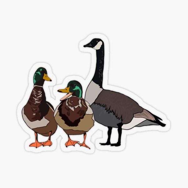 Hunting And Fishing Decals – Tagged Goose Hunting – The Sticker