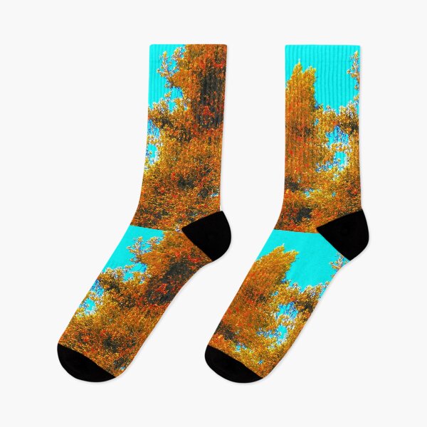 Item preview, Sun-kissed Treetops designed and sold by TM Art.
