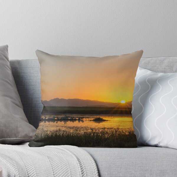 Item preview, Pelicans By Sunset designed and sold by Jennie Gardiner.