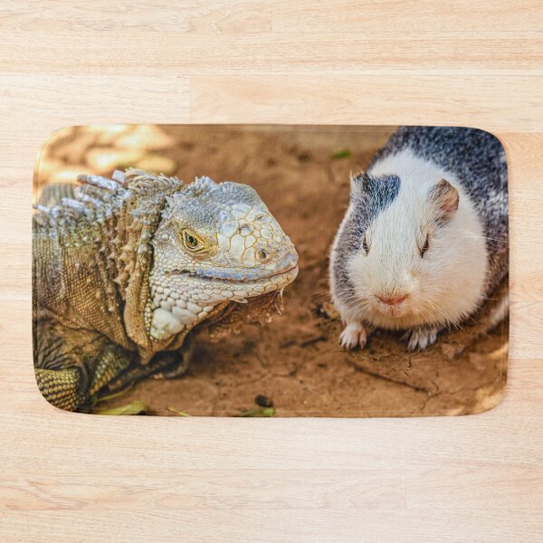 Item preview, Guinea Pig with Iguana friend designed and sold by Dalyndigital Photography.