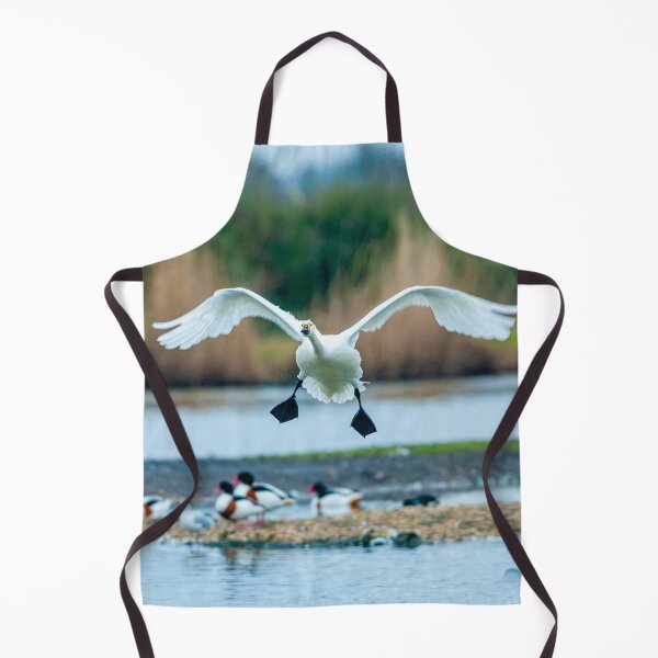 Item preview, Bewicks swan about to land  designed and sold by Dalyndigital Photography.