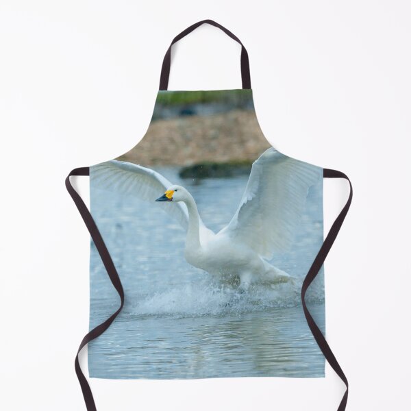 Item preview, Bewicks Swan touch down  designed and sold by Dalyndigital Photography.