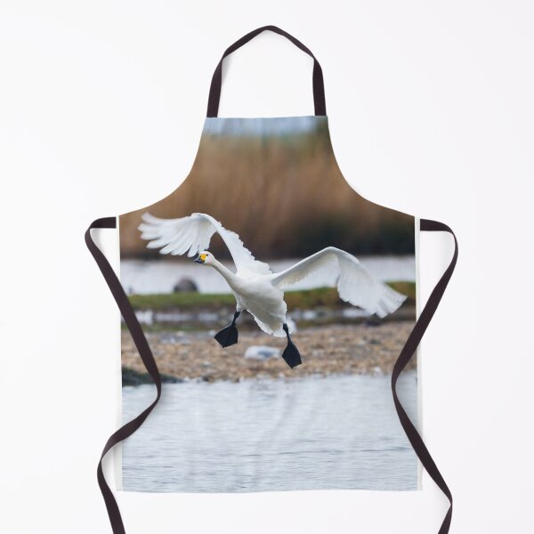 Item preview, Bewicks swan about to land on water with wings outspread designed and sold by Dalyndigital Photography.