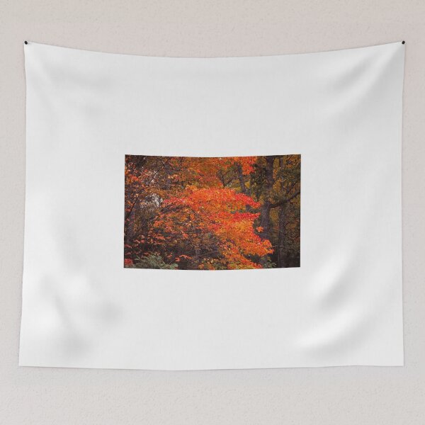 Item preview, Autumn Flames designed and sold by Rodney Williams.