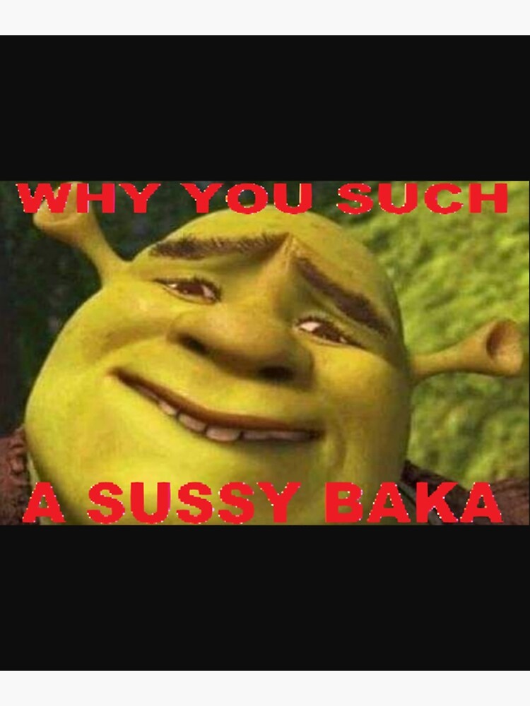 What is a sussy baka?